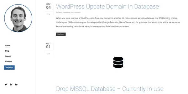 DavidEManske.com screenshot 1
