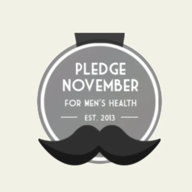 Pledge November project screenshot